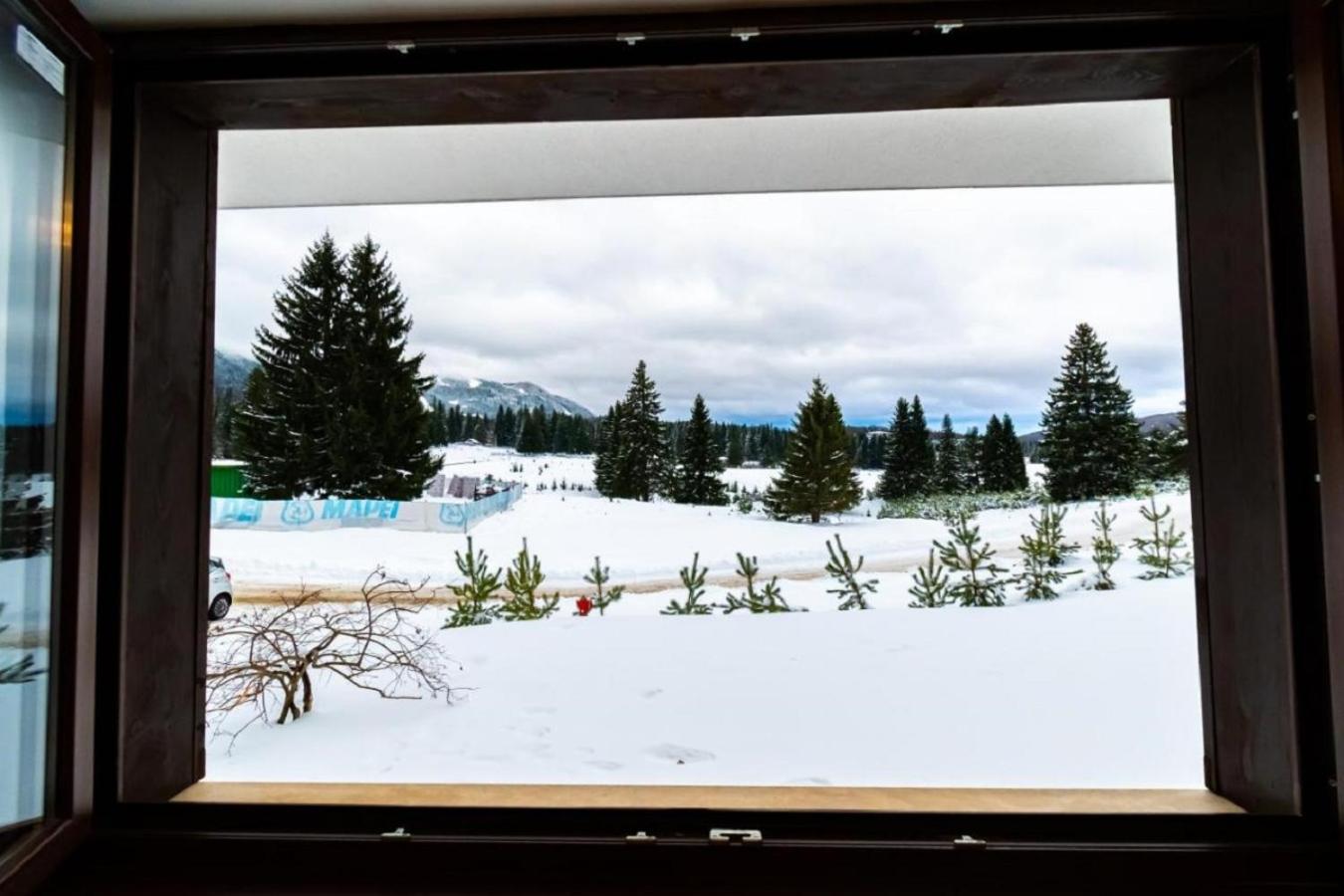 Albert Residence Aparthotel Grand Chalet With Free Spa Access To Alpin Resort 波亚纳布拉索夫 外观 照片