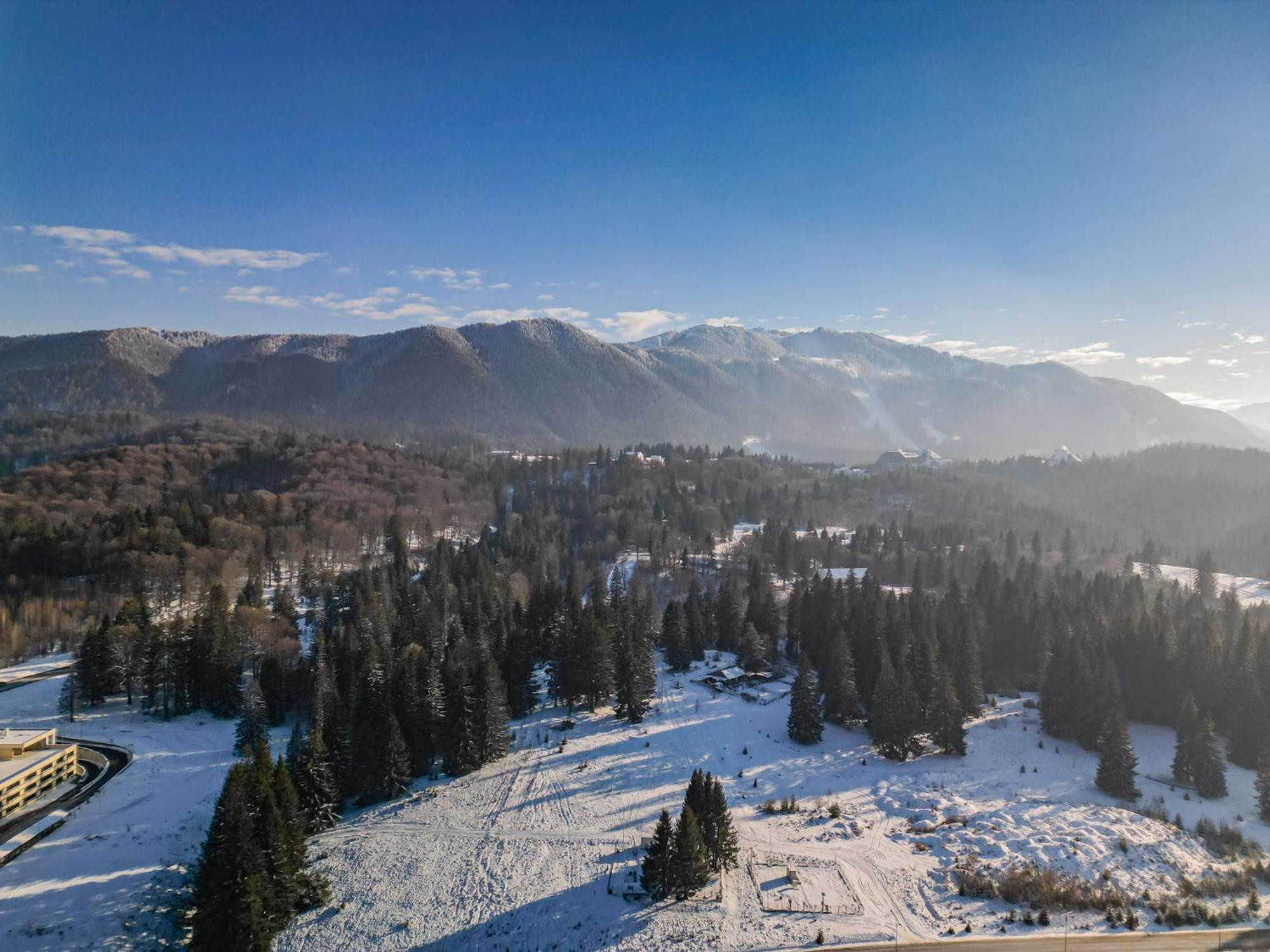 Albert Residence Aparthotel Grand Chalet With Free Spa Access To Alpin Resort 波亚纳布拉索夫 外观 照片